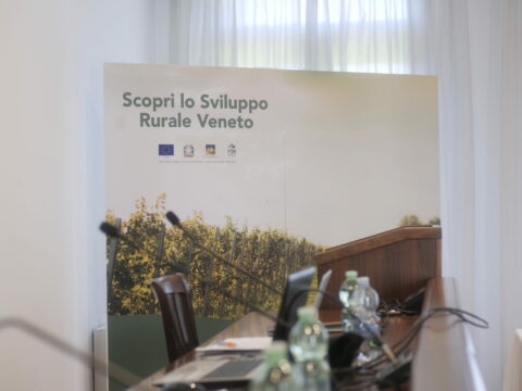 Istituito il Comitato di monitoraggio regionale per lo sviluppo rurale 23-27