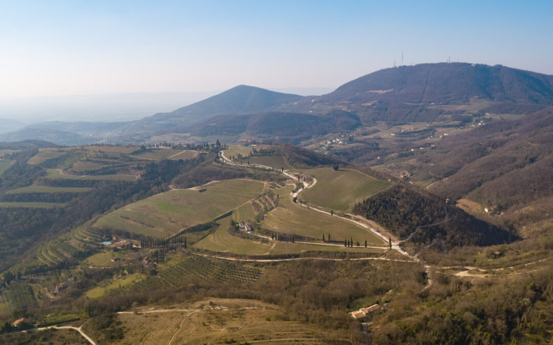 Una nuova fase per il settore rurale del Veneto: approvato il Complemento regionale per lo sviluppo rurale