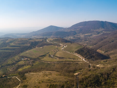 Una nuova fase per il settore rurale del Veneto: approvato il Complemento regionale per lo sviluppo rurale