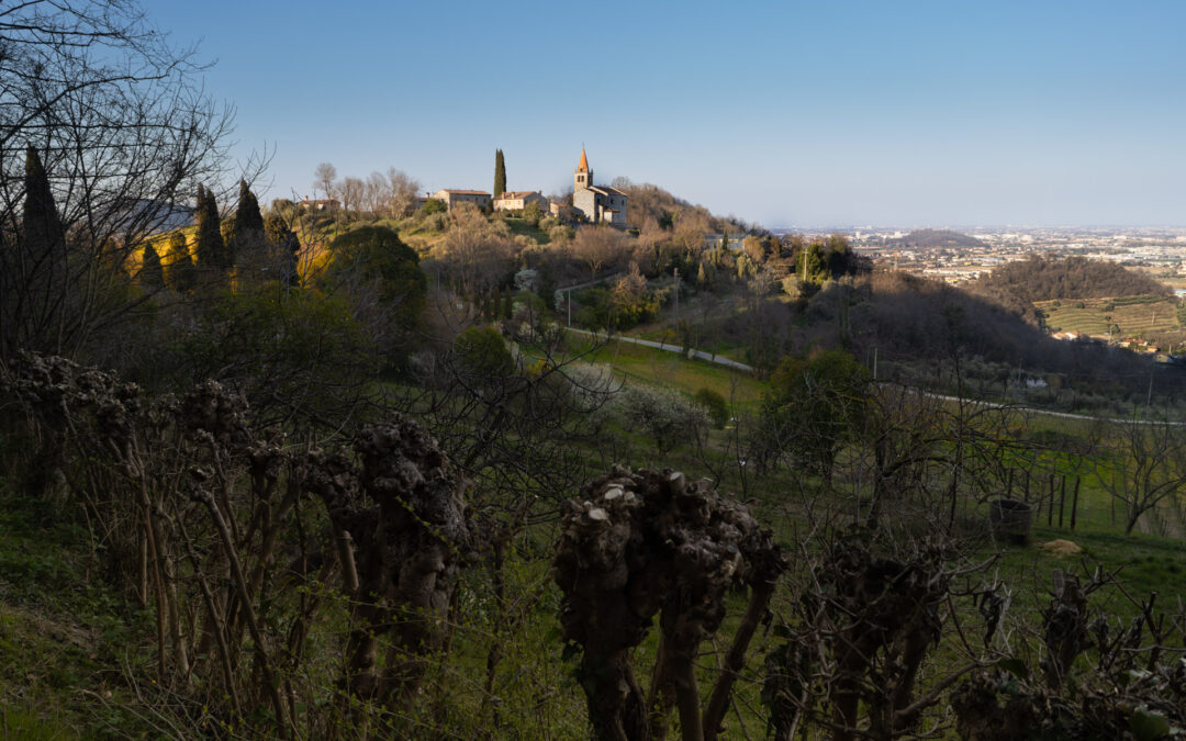 Aperti i termini dei bandi per lo sviluppo locale LEADER 2023-2027