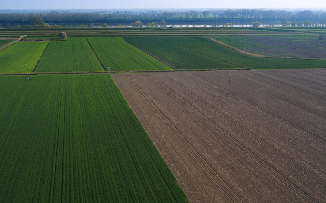 Pratiche agricole sostenibili: bandi per  79 milioni di euro grazie ai fondi europei per lo sviluppo rurale