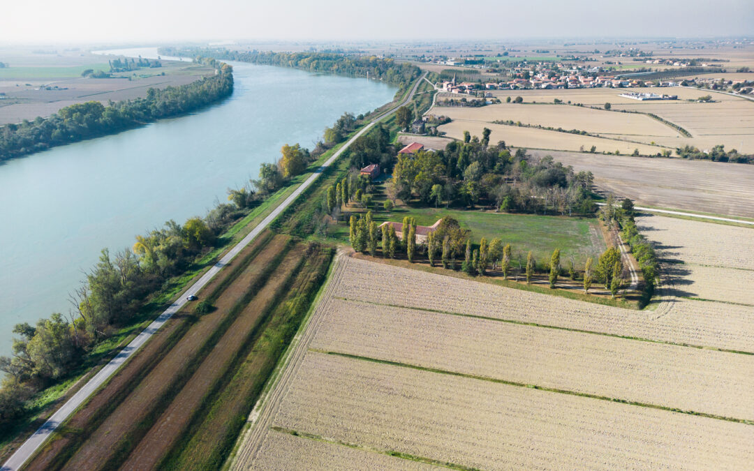 CSR Veneto: approvate modifiche ai bandi agroambientali per la gestione di siepi e boschetti