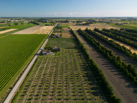 Interventi agroambientali: integrazione finanziaria per alcuni dei bandi del CSR Veneto