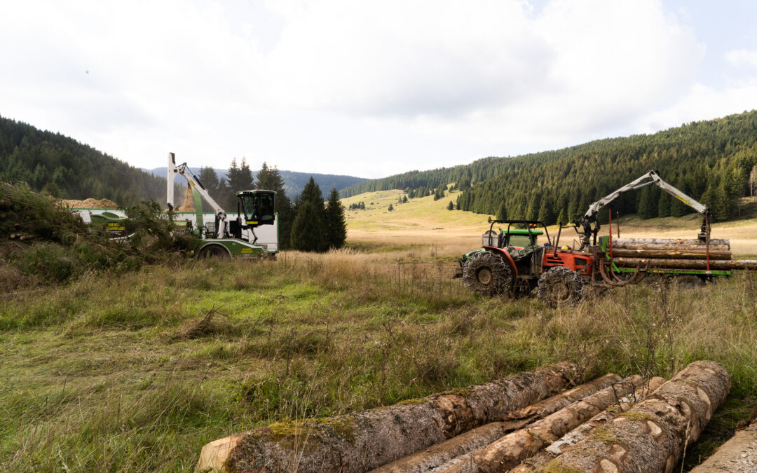 Investimenti forestali: 4 milioni a bando dal CSR Veneto