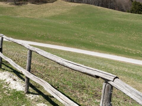 Viabilità forestale e silvo-pastorale: aperto un bando del CSR Veneto da 5,6 milioni di euro