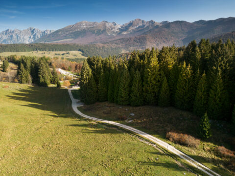 Bandi forestali, approvate alcune modifiche e integrazioni