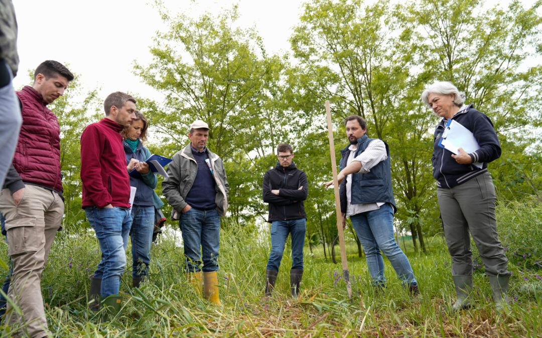 L’innovazione passa per la cooperazione: le opportunità del CSR 23-27 Veneto per il settore rurale