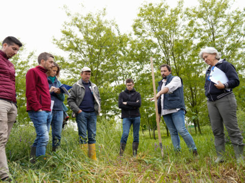 L’innovazione passa per la cooperazione: le opportunità del CSR 23-27 Veneto per il settore rurale