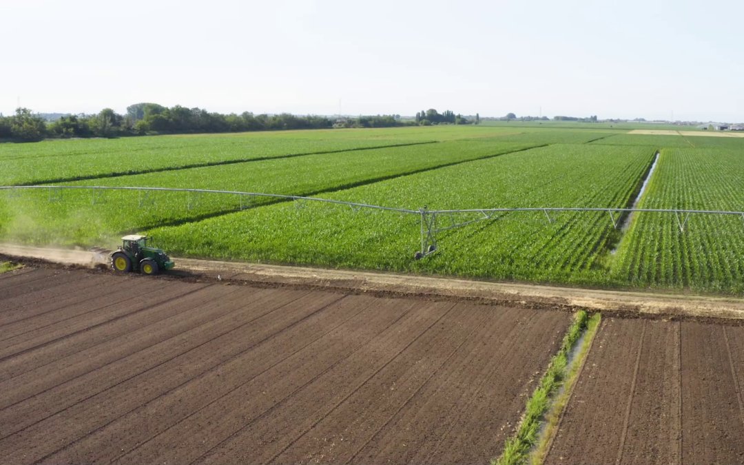 Investimenti ambientali in agricoltura: 20 milioni con i fondi europei del CSR Veneto