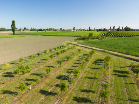 CSR Veneto 2023-2027: aggiornato il piano pluriennale di attivazione dei bandi