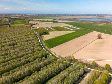 Aggiornati gli indirizzi procedurali generali del CSR Veneto