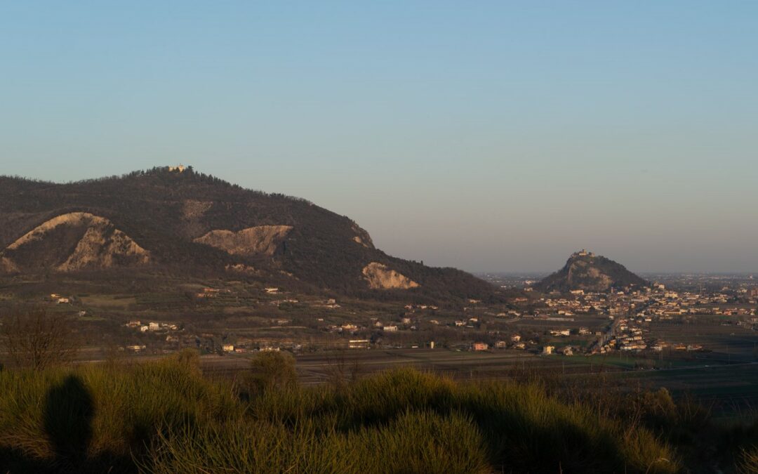 Sviluppo locale LEADER: approvati i criteri per la selezione delle domande di aiuto