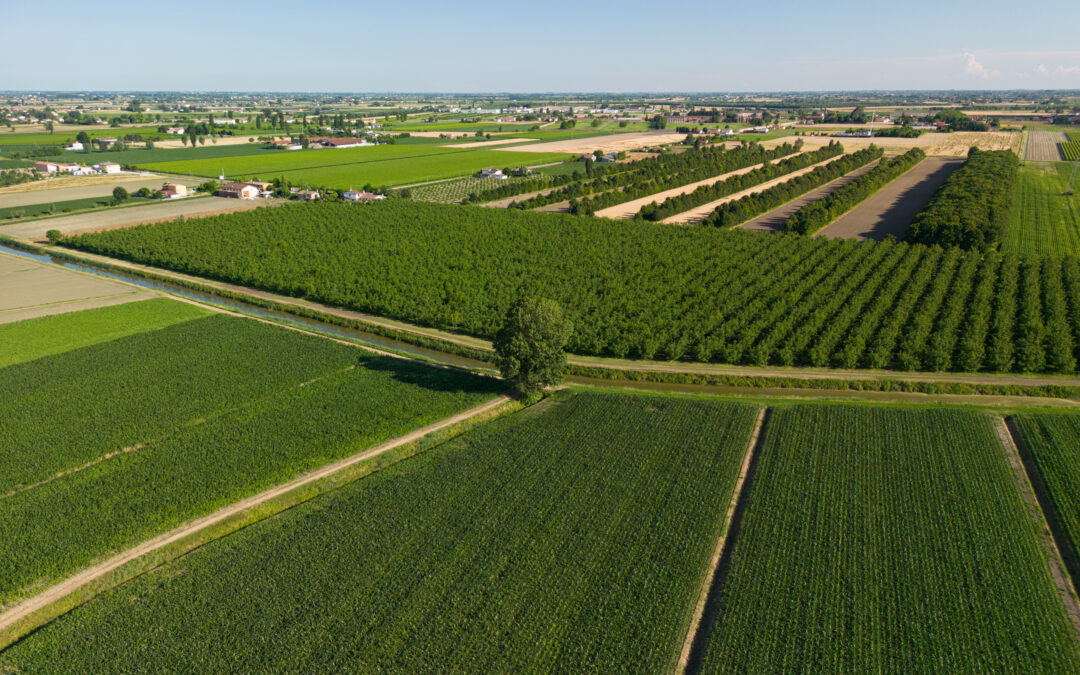 Innovazione: pubblicate le graduatorie che finanziano i nuovi Gruppi Operativi del PEI AGRI