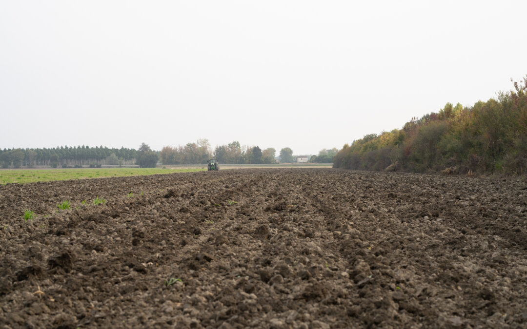 Finanziate 83 domande per impegni nel miglioramento dei suoli agricoli