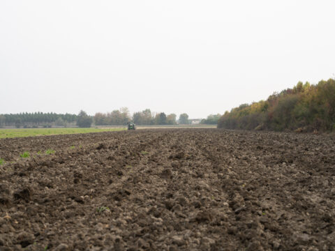 Finanziate 83 domande per impegni nel miglioramento dei suoli agricoli