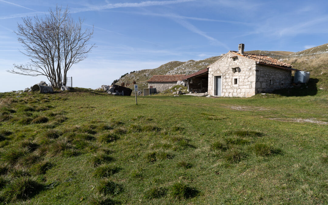 Diversificazione delle attività non agricole: finanziate domande per oltre 15 milioni di euro