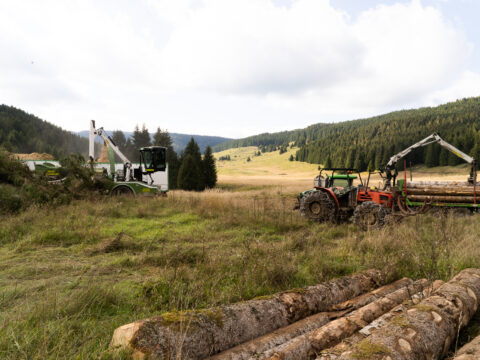 Filiere forestali: finanziati due nuovi progetti di cooperazione per 2 milioni di euro