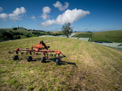 Investimenti aziendali in agricoltura: approvate le nuove graduatorie per oltre 35 milioni di euro