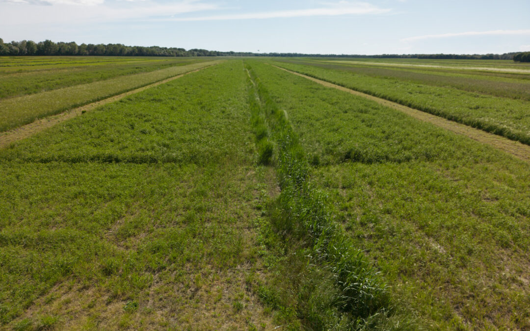 Impegni agroambientali: approvati nuovi bandi per 30 milioni di euro