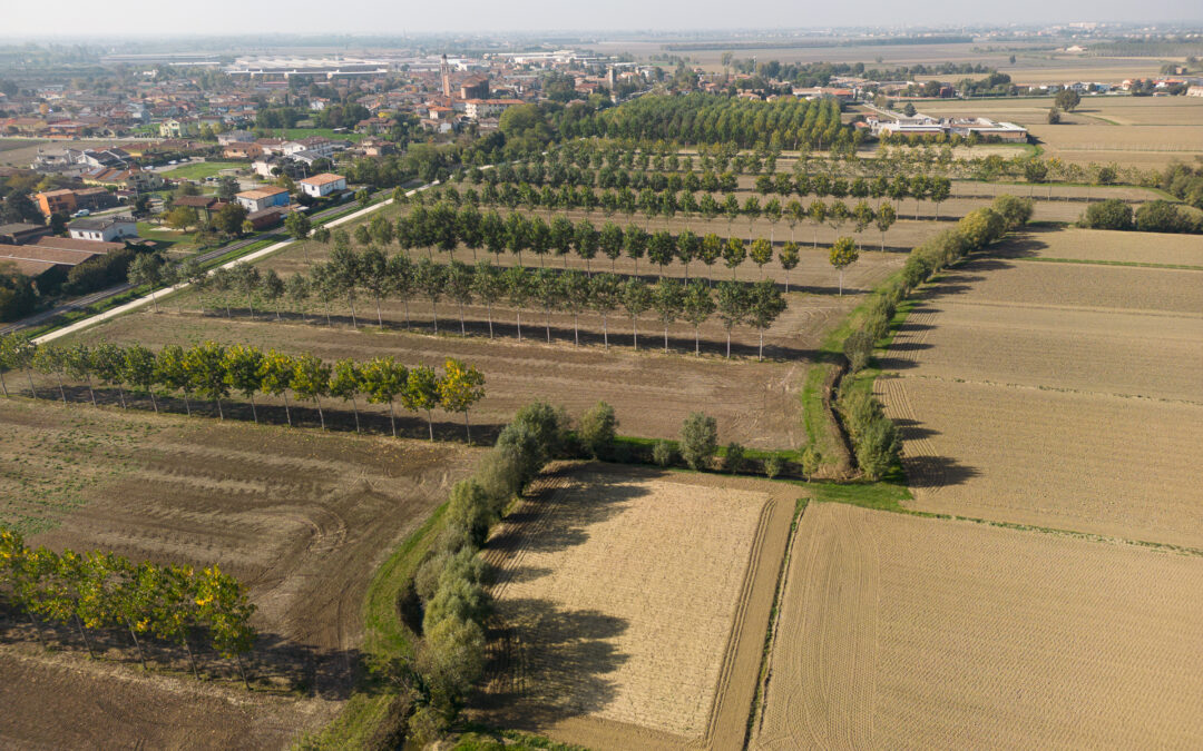 Le opportunità per lo Sviluppo rurale del Veneto – Lendinara (RO), 3 dicembre 2024