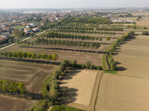 Le opportunità per lo Sviluppo rurale del Veneto – Lendinara (RO), 3 dicembre 2024