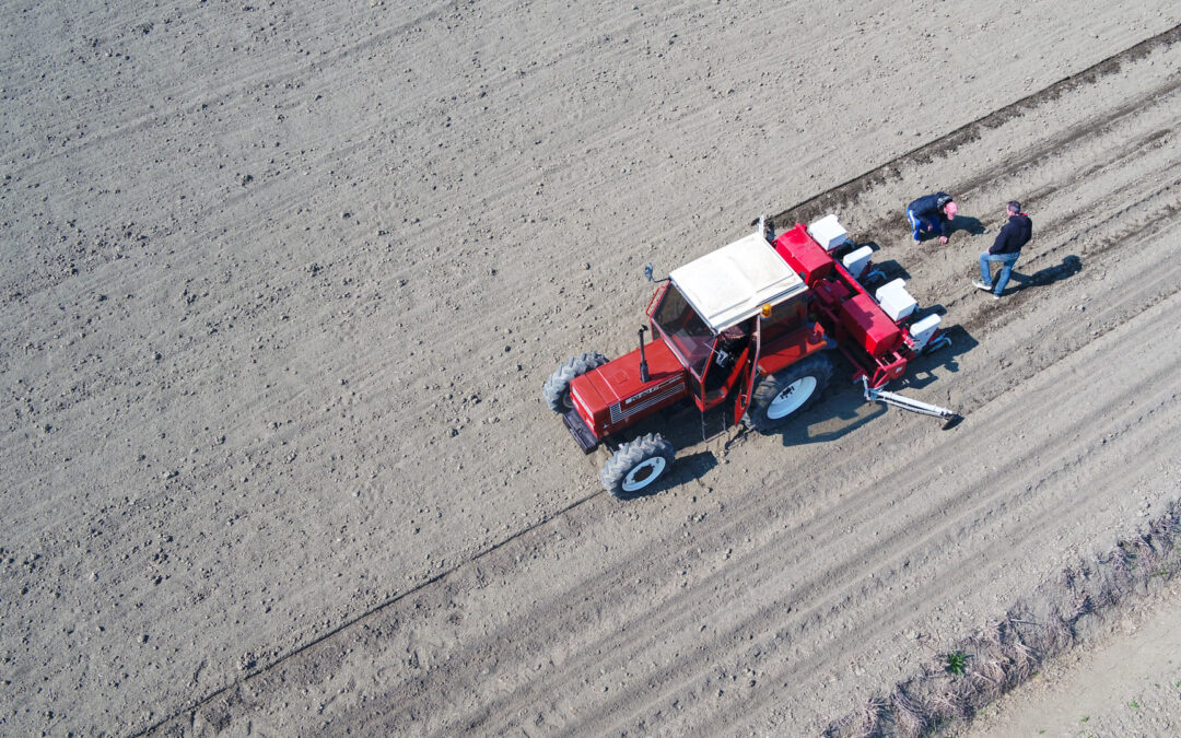 Consulenza alle aziende agricole: approvate modifiche al bando aperto