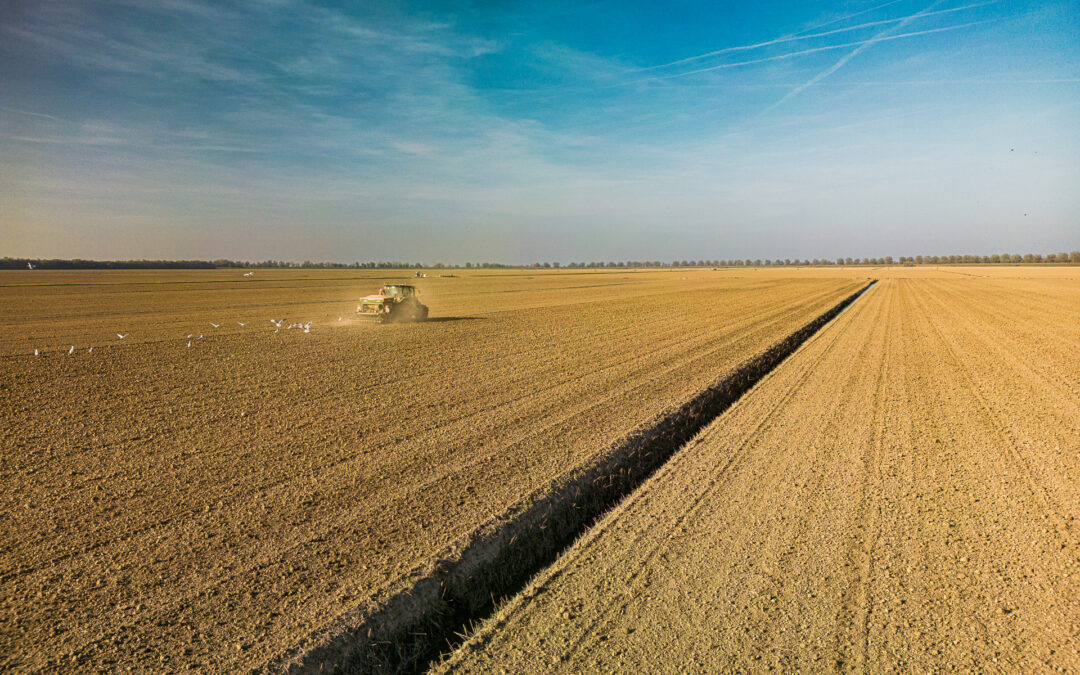 PSR Veneto: superato il 90% di spesa liquidata a fine 2024