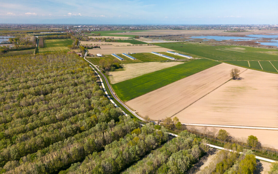 Aggiornato il piano pluriennale di attivazione dei bandi del CSR Veneto