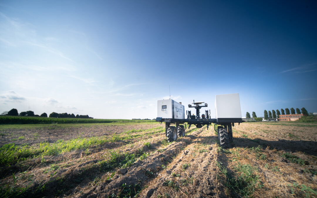 Adottate le prime decisioni che danno attuazione alla Relazione finale del Dialogo strategico sul futuro dell’agricoltura