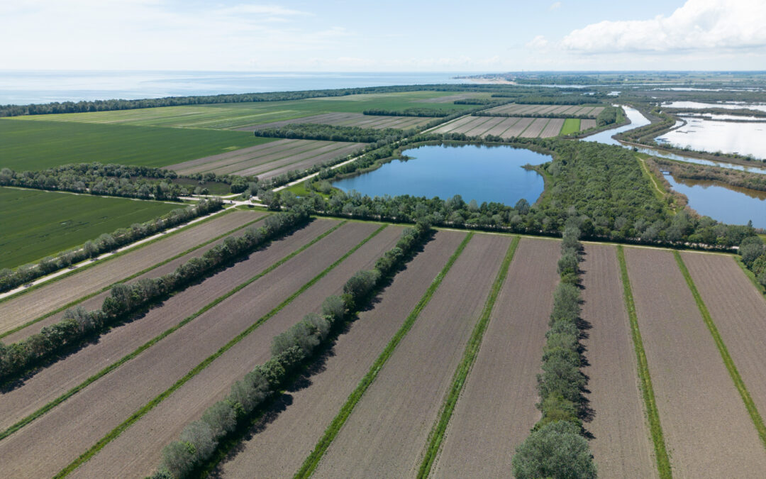 Infrastrutture ecologiche: aperti i termini dei bandi a sostegno del mantenimento degli impegni di gestione