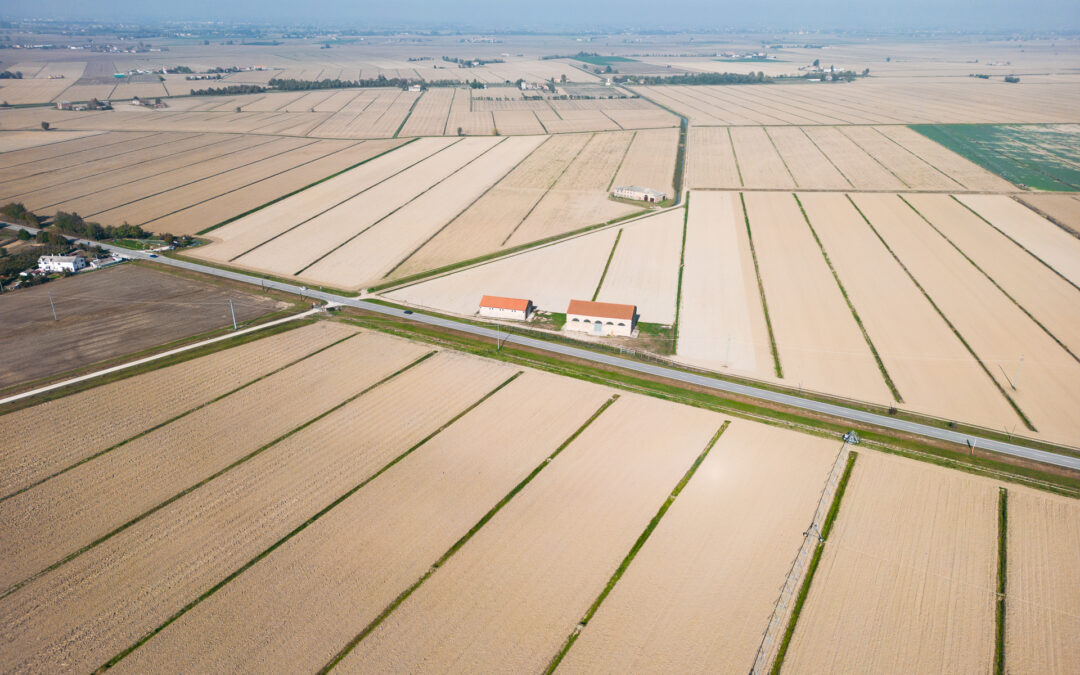 Le Regioni hanno incontrato il Ministro Lollobrigida su gestione dei rischi in agricoltura e programmazione UE