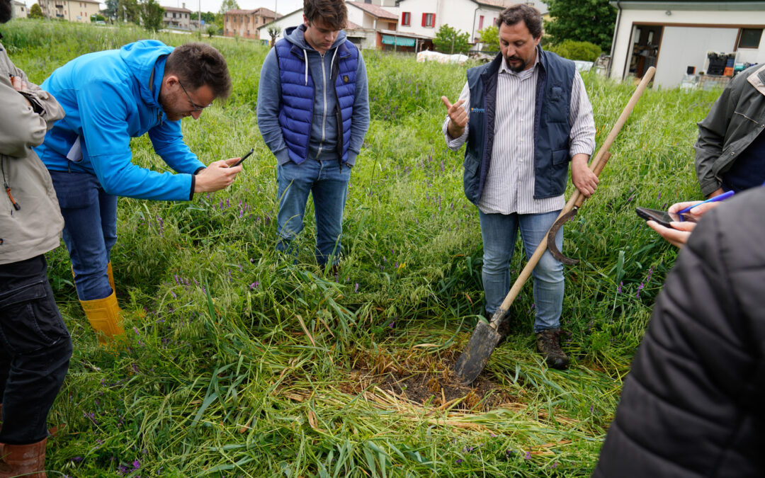 Consulenza alle aziende agricole: posticipati al 21 marzo i termini del bando