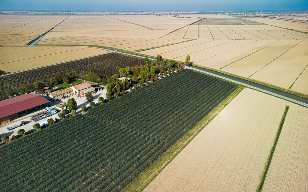 Giovani, investimenti ambientali, innovazione: avviati nuovi bandi per quasi 100 milioni di euro