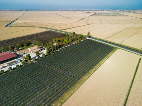 Giovani, investimenti ambientali, innovazione: avviati nuovi bandi per quasi 100 milioni di euro