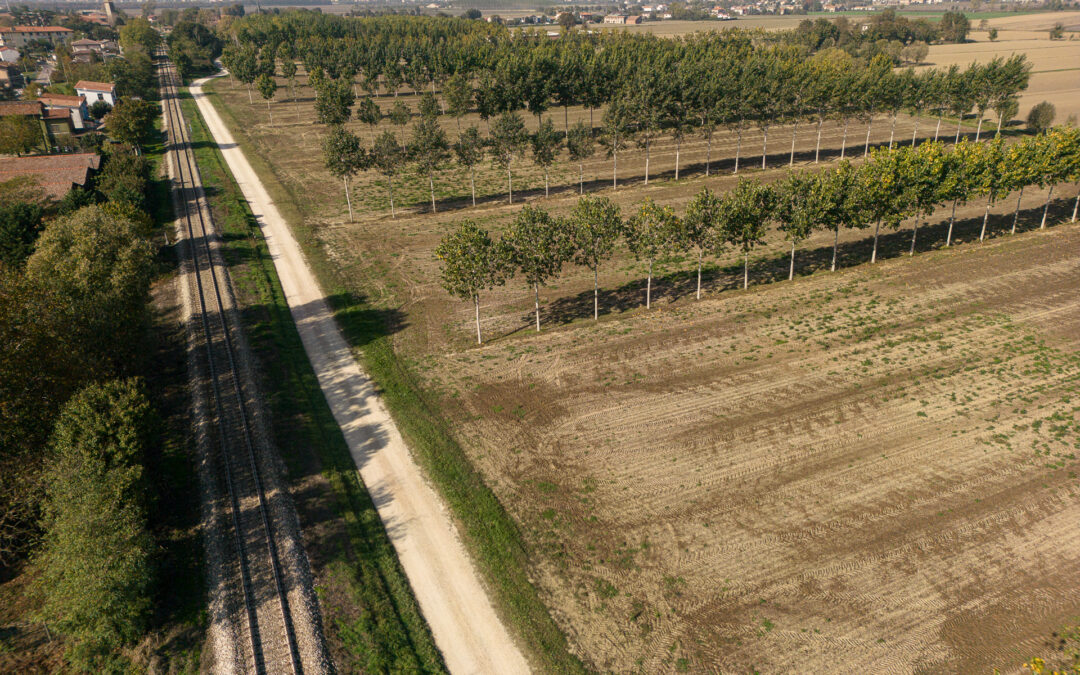 Approvata una modifica agli Indirizzi Procedurali Generali del CSR Veneto 