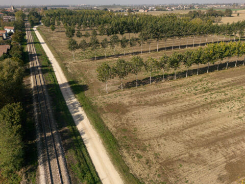 Approvata una modifica agli Indirizzi Procedurali Generali del CSR Veneto 