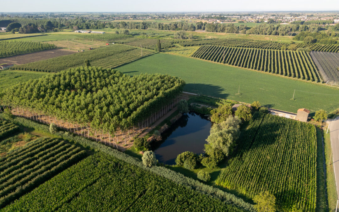 Infrastrutture ecologiche: in approvazione bandi per 2,5 milioni di euro