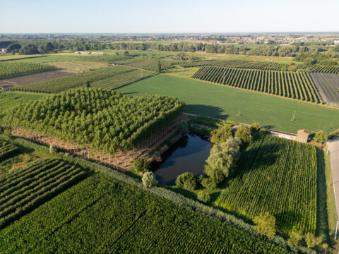 Infrastrutture ecologiche: in approvazione bandi per 2,5 milioni di euro