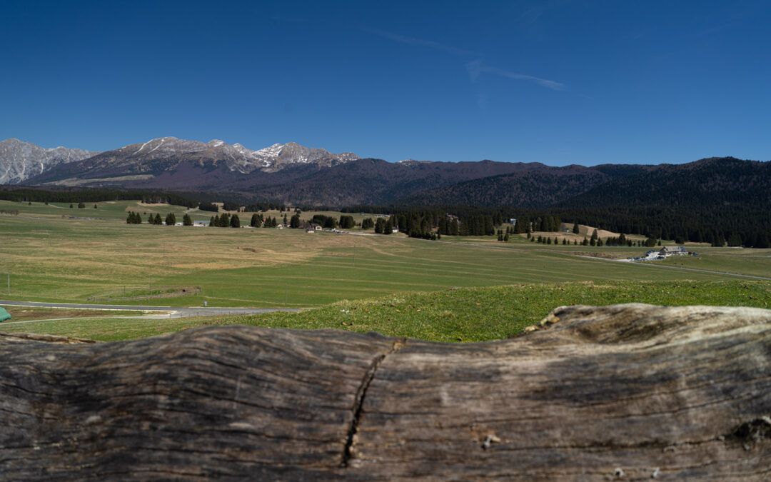 Sostegno all’agricoltura di montagna: prossima apertura del bando da 18 milioni di euro