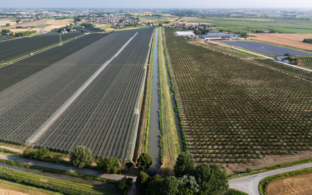 Gruppi Operativi PEI AGRI: aperto il bando che finanzia l’attuazione dei progetti