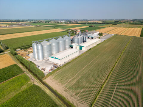 Investimenti per la competitività del settore agricolo: nuovo bando da 15 milioni di euro
