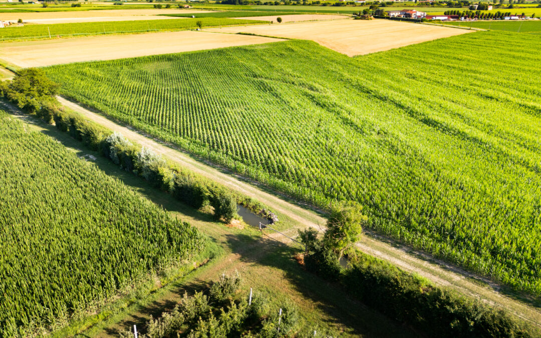Infrastrutture ecologiche: aperti nuovi bandi per 2,5 milioni di euro