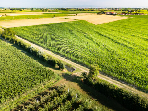 Infrastrutture ecologiche: aperti nuovi bandi per 2,5 milioni di euro