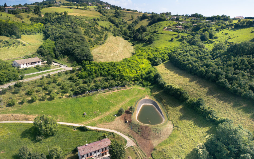 CSR Veneto: aperti bandi da 6 milioni di euro per investimenti ambientali in agricoltura