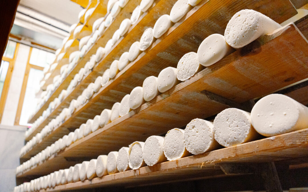 Imprese agroalimentari: nuovo bando da 33 milioni di euro per investimenti agroindustriali