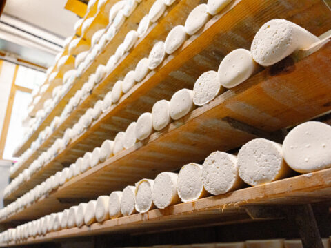 Imprese agroalimentari: nuovo bando da 33 milioni di euro per investimenti agroindustriali