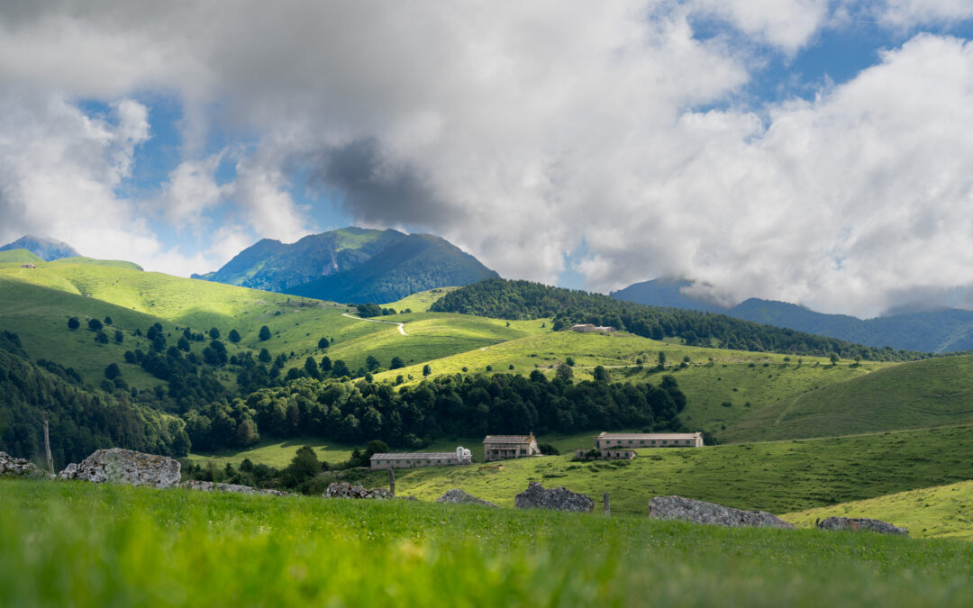 Sostegno all’agricoltura di montagna: aperto il bando da 18 milioni 