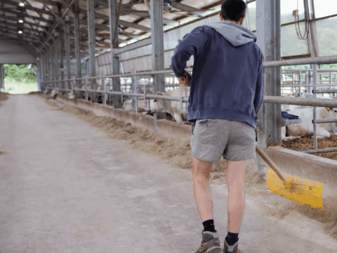 Giovani agricoltori: aperti bandi per 36 milioni di euro per il primo insediamento