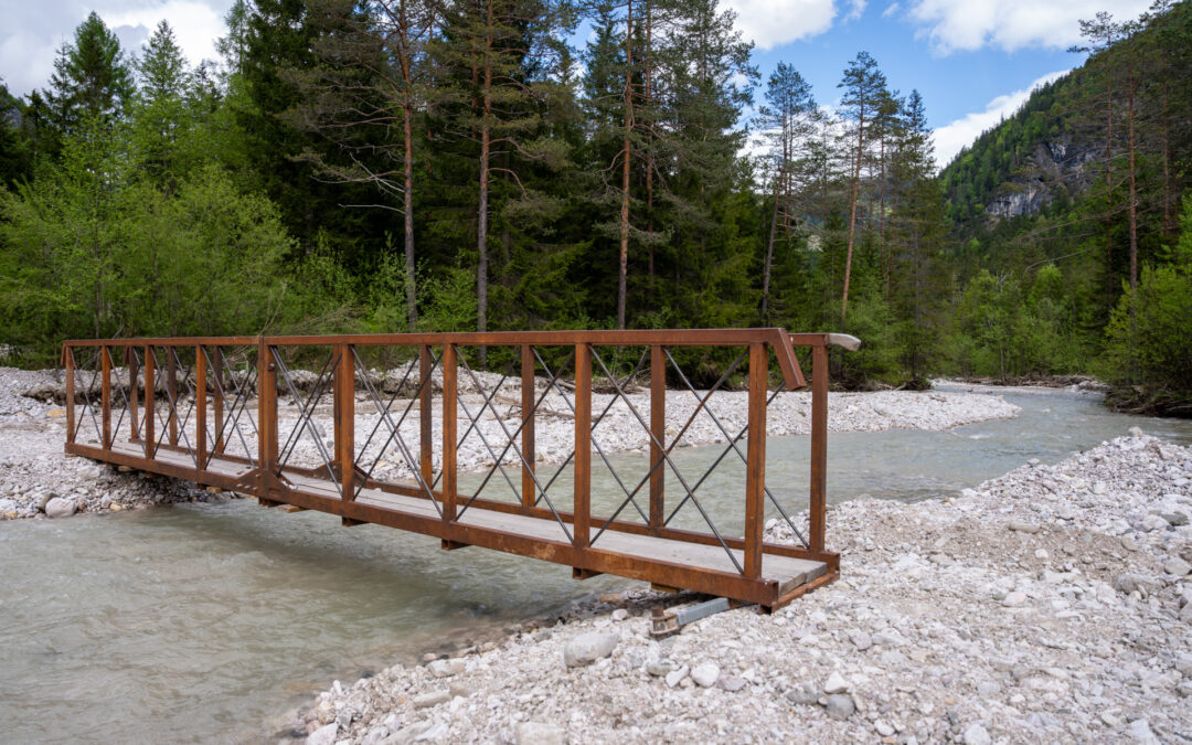 Investimenti forestali: prorogati i termini per integrare i documenti abilitativi