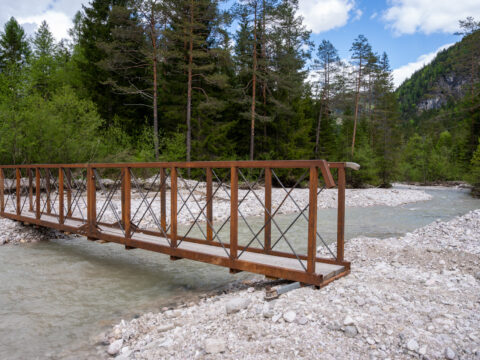 Investimenti forestali: prorogati i termini per integrare i documenti abilitativi